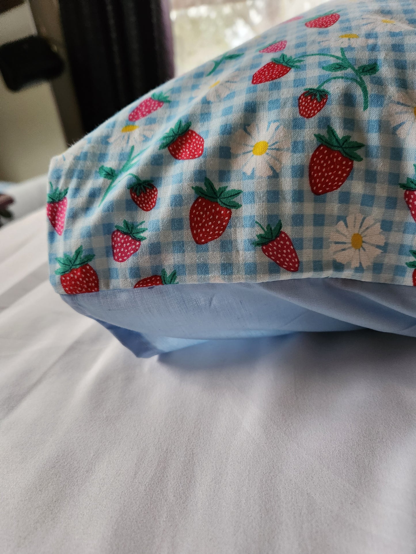 Strawberry gingham